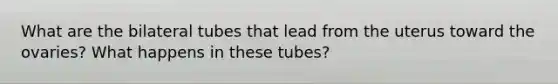 What are the bilateral tubes that lead from the uterus toward the ovaries? What happens in these tubes?