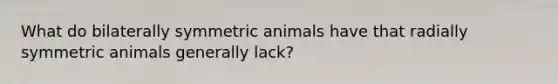 What do bilaterally symmetric animals have that radially symmetric animals generally lack?