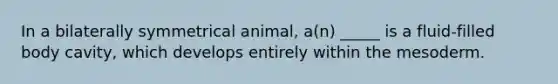 In a bilaterally symmetrical animal, a(n) _____ is a fluid-filled body cavity, which develops entirely within the mesoderm.