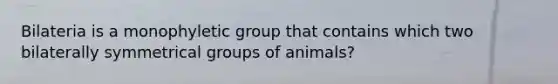 Bilateria is a monophyletic group that contains which two bilaterally symmetrical groups of animals?