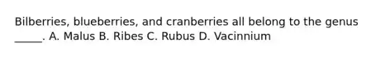 Bilberries, blueberries, and cranberries all belong to the genus _____. A. Malus B. Ribes C. Rubus D. Vacinnium