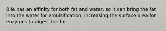 Bile has an affinity for both fat and water, so it can bring the fat into the water for emulsification, increasing the surface area for enzymes to digest the fat.