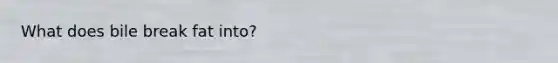What does bile break fat into?