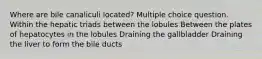 Where are bile canaliculi located? Multiple choice question. Within the hepatic triads between the lobules Between the plates of hepatocytes in the lobules Draining the gallbladder Draining the liver to form the bile ducts