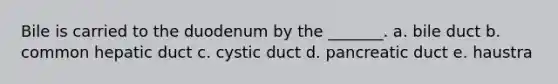 Bile is carried to the duodenum by the _______. a. bile duct b. common hepatic duct c. cystic duct d. pancreatic duct e. haustra