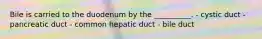 Bile is carried to the duodenum by the __________. - cystic duct - pancreatic duct - common hepatic duct - bile duct