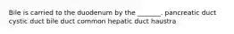 Bile is carried to the duodenum by the _______. pancreatic duct cystic duct bile duct common hepatic duct haustra