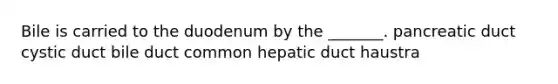 Bile is carried to the duodenum by the _______. pancreatic duct cystic duct bile duct common hepatic duct haustra