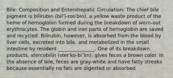 Bile: Composition and Enterohepatic Circulation: The chief bile pigment is bilirubin (bil″ĭ-roo′bin), a yellow waste product of the heme of hemoglobin formed during the breakdown of worn-out erythrocytes. The globin and iron parts of hemoglobin are saved and recycled. Bilirubin, however, is absorbed from the blood by liver cells, excreted into bile, and metabolized in the small intestine by resident _______________. One of its breakdown products, stercobilin (ster′ko-bi″lin), gives feces a brown color. In the absence of bile, feces are gray-white and have fatty streaks because essentially no fats are digested or absorbed