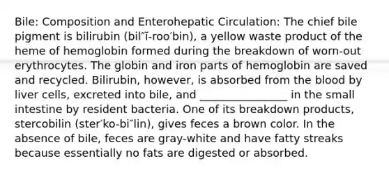 Bile: Composition and Enterohepatic Circulation: The chief bile pigment is bilirubin (bil″ĭ-roo′bin), a yellow waste product of the heme of hemoglobin formed during the breakdown of worn-out erythrocytes. The globin and iron parts of hemoglobin are saved and recycled. Bilirubin, however, is absorbed from <a href='https://www.questionai.com/knowledge/k7oXMfj7lk-the-blood' class='anchor-knowledge'>the blood</a> by liver cells, excreted into bile, and ________________ in <a href='https://www.questionai.com/knowledge/kt623fh5xn-the-small-intestine' class='anchor-knowledge'>the small intestine</a> by resident bacteria. One of its breakdown products, stercobilin (ster′ko-bi″lin), gives feces a brown color. In the absence of bile, feces are gray-white and have fatty streaks because essentially no fats are digested or absorbed.