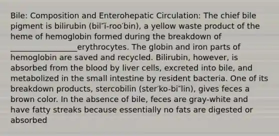 Bile: Composition and Enterohepatic Circulation: The chief bile pigment is bilirubin (bil″ĭ-roo′bin), a yellow waste product of the heme of hemoglobin formed during the breakdown of _________________erythrocytes. The globin and iron parts of hemoglobin are saved and recycled. Bilirubin, however, is absorbed from the blood by liver cells, excreted into bile, and metabolized in the small intestine by resident bacteria. One of its breakdown products, stercobilin (ster′ko-bi″lin), gives feces a brown color. In the absence of bile, feces are gray-white and have fatty streaks because essentially no fats are digested or absorbed