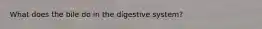 What does the bile do in the digestive system?