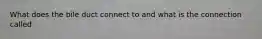 What does the bile duct connect to and what is the connection called