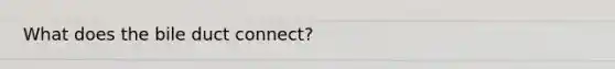 What does the bile duct connect?