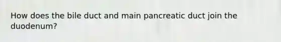 How does the bile duct and main pancreatic duct join the duodenum?