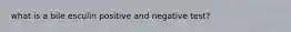 what is a bile esculin positive and negative test?