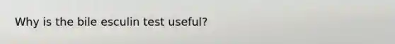 Why is the bile esculin test useful?