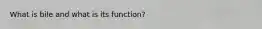 What is bile and what is its function?