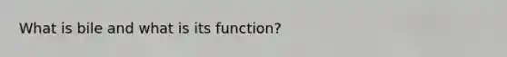 What is bile and what is its function?