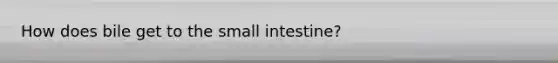 How does bile get to the small intestine?