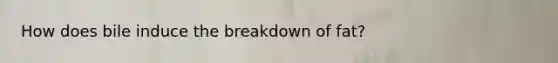 How does bile induce the breakdown of fat?
