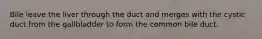 Bile leave the liver through the duct and merges with the cystic duct from the gallbladder to form the common bile duct.