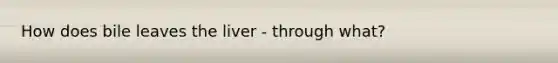 How does bile leaves the liver - through what?