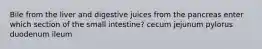 Bile from the liver and digestive juices from the pancreas enter which section of the small intestine? cecum jejunum pylorus duodenum ileum