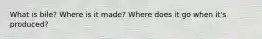 What is bile? Where is it made? Where does it go when it's produced?