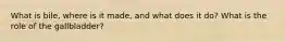 What is bile, where is it made, and what does it do? What is the role of the gallbladder?