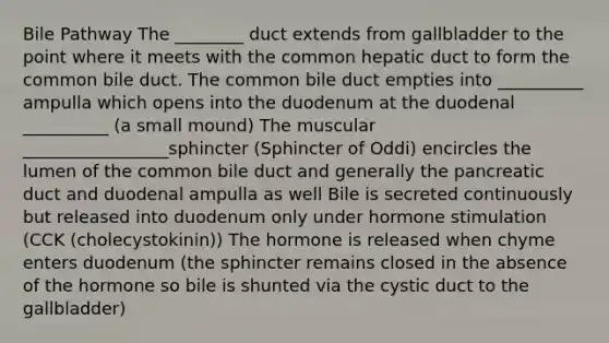 Bile Pathway The ________ duct extends from gallbladder to the point where it meets with the common hepatic duct to form the common bile duct. The common bile duct empties into __________ ampulla which opens into the duodenum at the duodenal __________ (a small mound) The muscular _________________sphincter (Sphincter of Oddi) encircles the lumen of the common bile duct and generally the pancreatic duct and duodenal ampulla as well Bile is secreted continuously but released into duodenum only under hormone stimulation (CCK (cholecystokinin)) The hormone is released when chyme enters duodenum (the sphincter remains closed in the absence of the hormone so bile is shunted via the cystic duct to the gallbladder)