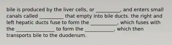 bile is produced by the liver cells, or __________, and enters small canals called __________ that empty into bile ducts. the right and left hepatic ducts fuse to form the ___________, which fuses with the ________________ to form the ____________, which then transports bile to the duodenum.