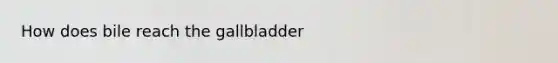 How does bile reach the gallbladder