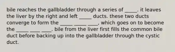 bile reaches the gallbladder through a series of _____. it leaves the liver by the right and left _____ ducts. these two ducts converge to form the _____ _____ ____, which goes on to become the _____ ____ ____. bile from the liver first fills the common bile duct before backing up into the gallbladder through the cystic duct.