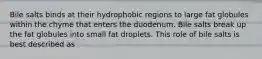 Bile salts binds at their hydrophobic regions to large fat globules within the chyme that enters the duodenum. Bile salts break up the fat globules into small fat droplets. This role of bile salts is best described as