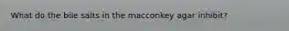 What do the bile salts in the macconkey agar inhibit?