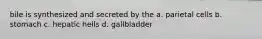 bile is synthesized and secreted by the a. parietal cells b. stomach c. hepatic hells d. gallbladder