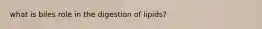 what is biles role in the digestion of lipids?