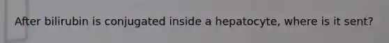 After bilirubin is conjugated inside a hepatocyte, where is it sent?