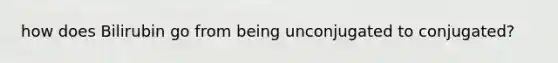 how does Bilirubin go from being unconjugated to conjugated?