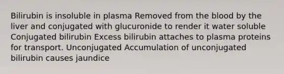 Bilirubin is insoluble in plasma Removed from the blood by the liver and conjugated with glucuronide to render it water soluble Conjugated bilirubin Excess bilirubin attaches to plasma proteins for transport. Unconjugated Accumulation of unconjugated bilirubin causes jaundice