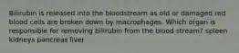 Bilirubin is released into the bloodstream as old or damaged red blood cells are broken down by macrophages. Which organ is responsible for removing bilirubin from the blood stream? spleen kidneys pancreas liver