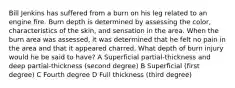 Bill Jenkins has suffered from a burn on his leg related to an engine fire. Burn depth is determined by assessing the color, characteristics of the skin, and sensation in the area. When the burn area was assessed, it was determined that he felt no pain in the area and that it appeared charred. What depth of burn injury would he be said to have? A Superficial partial-thickness and deep partial-thickness (second degree) B Superficial (first degree) C Fourth degree D Full thickness (third degree)