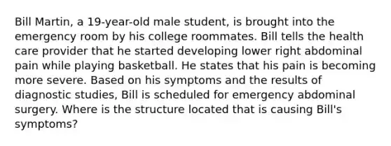 Bill Martin, a 19-year-old male student, is brought into the emergency room by his college roommates. Bill tells the health care provider that he started developing lower right abdominal pain while playing basketball. He states that his pain is becoming more severe. Based on his symptoms and the results of diagnostic studies, Bill is scheduled for emergency abdominal surgery. Where is the structure located that is causing Bill's symptoms?