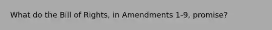 What do the Bill of Rights, in Amendments 1-9, promise?