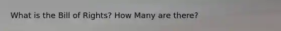 What is the Bill of Rights? How Many are there?