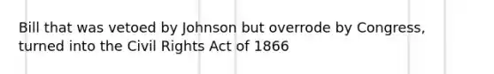 Bill that was vetoed by Johnson but overrode by Congress, turned into the Civil Rights Act of 1866