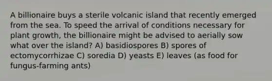 A billionaire buys a sterile volcanic island that recently emerged from the sea. To speed the arrival of conditions necessary for plant growth, the billionaire might be advised to aerially sow what over the island? A) basidiospores B) spores of ectomycorrhizae C) soredia D) yeasts E) leaves (as food for fungus-farming ants)