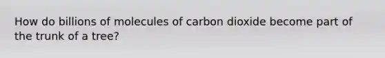 How do billions of molecules of carbon dioxide become part of the trunk of a tree?