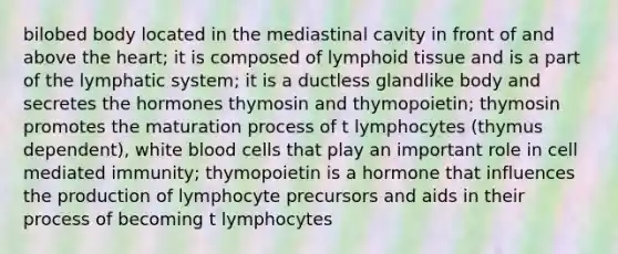 bilobed body located in the mediastinal cavity in front of and above the heart; it is composed of lymphoid tissue and is a part of the lymphatic system; it is a ductless glandlike body and secretes the hormones thymosin and thymopoietin; thymosin promotes the maturation process of t lymphocytes (thymus dependent), white blood cells that play an important role in cell mediated immunity; thymopoietin is a hormone that influences the production of lymphocyte precursors and aids in their process of becoming t lymphocytes